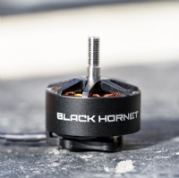 Foxeer Black Hornet 2812 900KV FPV Motor